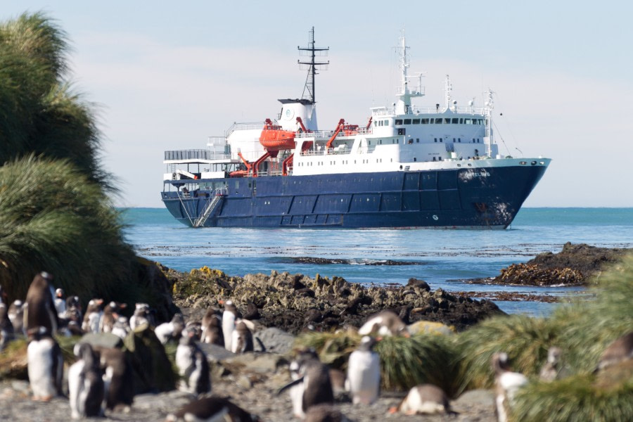 Oceanwide Expeditions MV Hondius Drake Passage